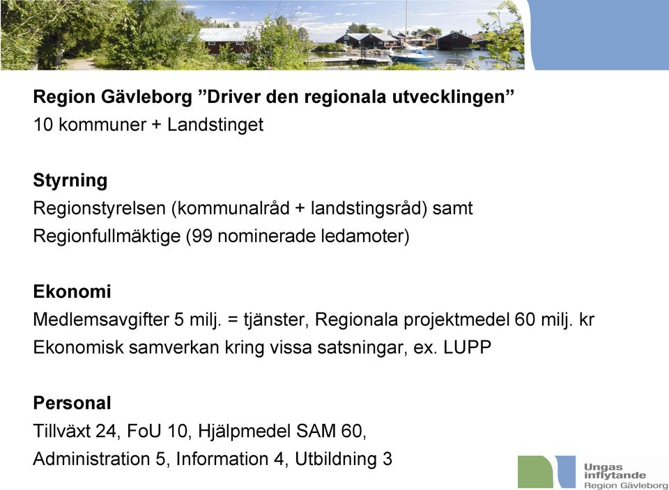 Medlemsavgifter 5 milj. = tjänster, Regionala projektmedel 60 milj.