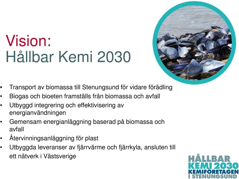 energianvändningen Gemensam energianläggning baserad på biomassa och avfall