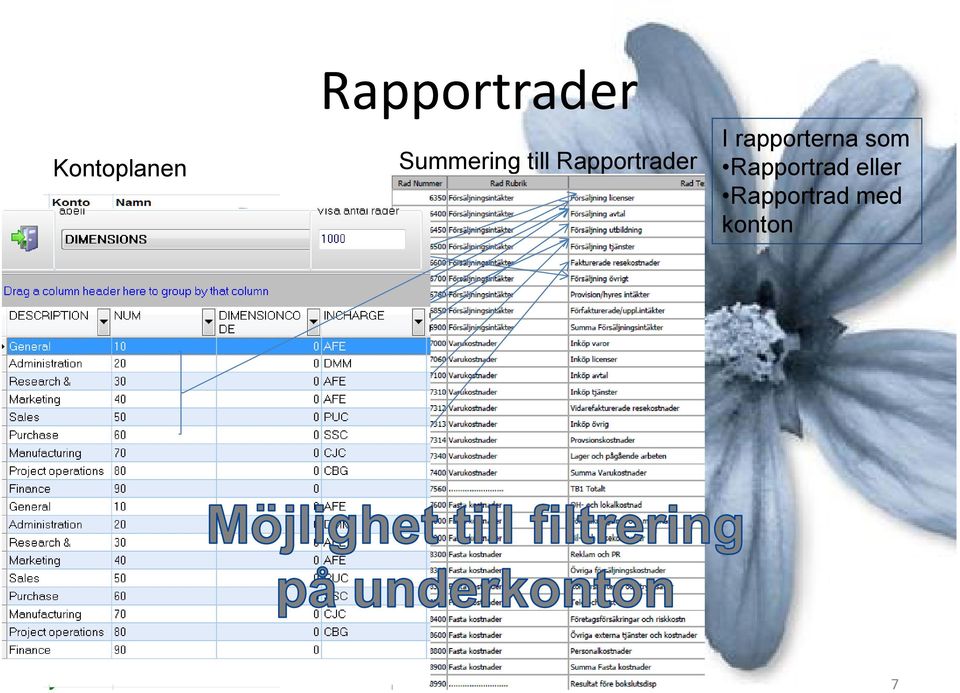 I rapporterna som