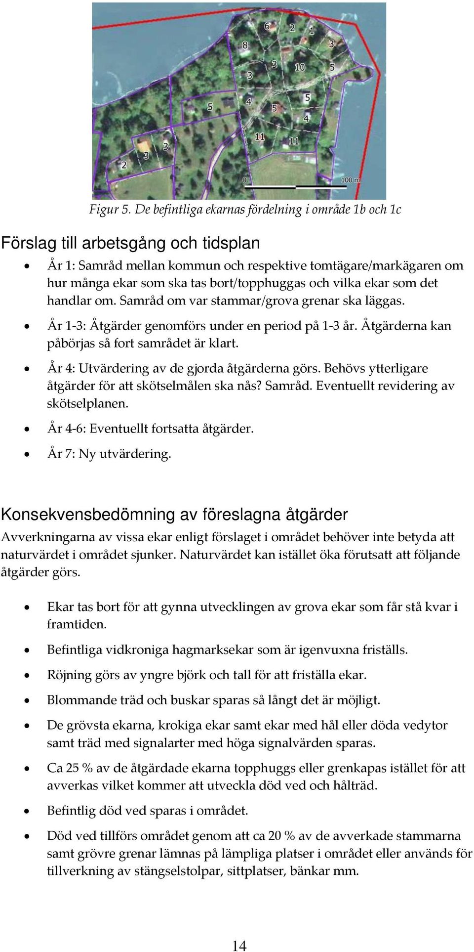 och vilka ekar som det handlar om. Samråd om var stammar/grova grenar ska läggas. År 1 3: Åtgärder genomförs under en period på 1 3 år. Åtgärderna kan påbörjas så fort samrådet är klart.