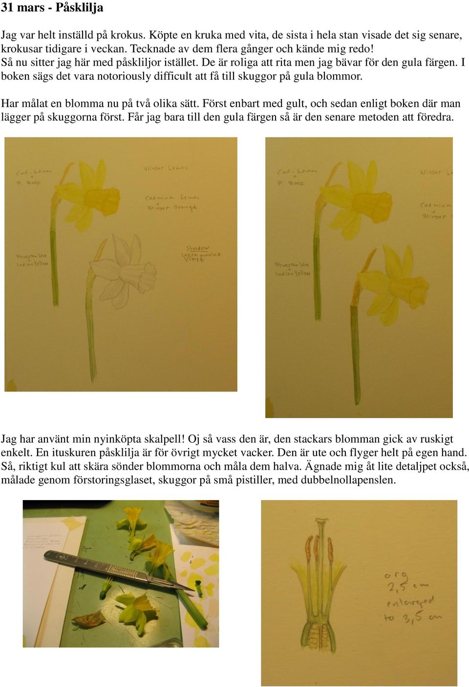 Har målat en blomma nu på två olika sätt. Först enbart med gult, och sedan enligt boken där man lägger på skuggorna först. Får jag bara till den gula färgen så är den senare metoden att föredra.