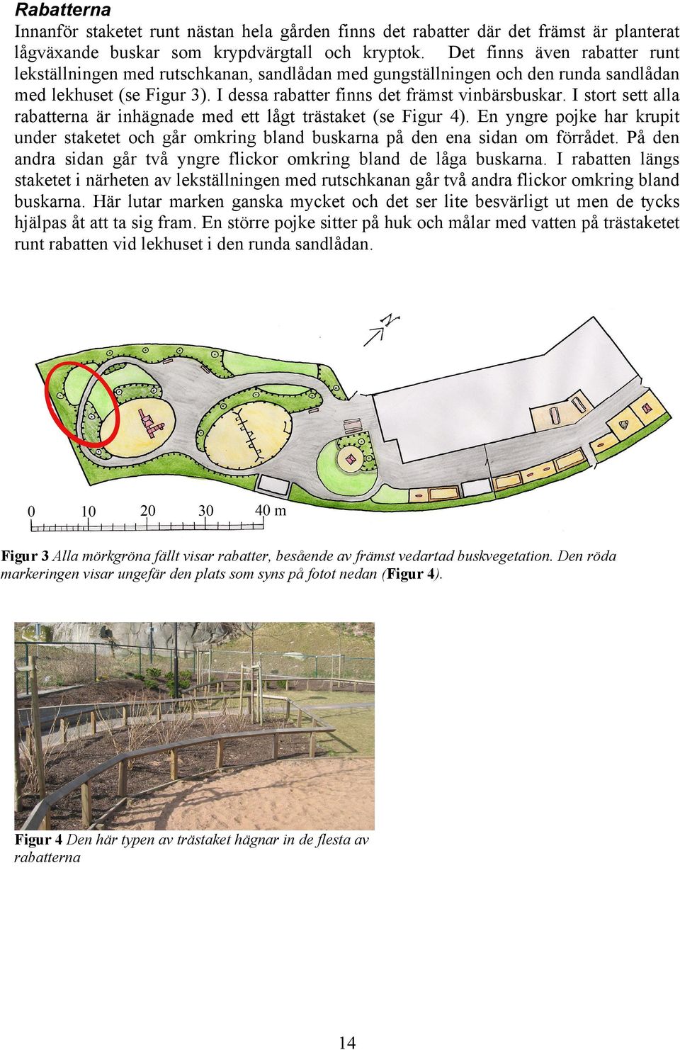 I stort sett alla rabatterna är inhägnade med ett lågt trästaket (se Figur 4). En yngre pojke har krupit under staketet och går omkring bland buskarna på den ena sidan om förrådet.