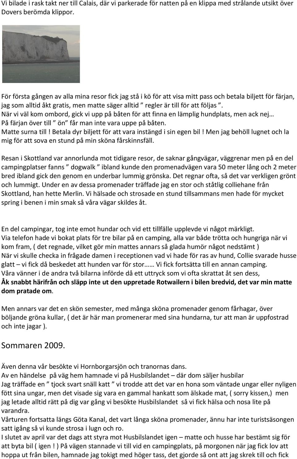 När vi väl kom ombord, gick vi upp på båten för att finna en lämplig hundplats, men ack nej På färjan över till ön får man inte vara uppe på båten. Matte surna till!