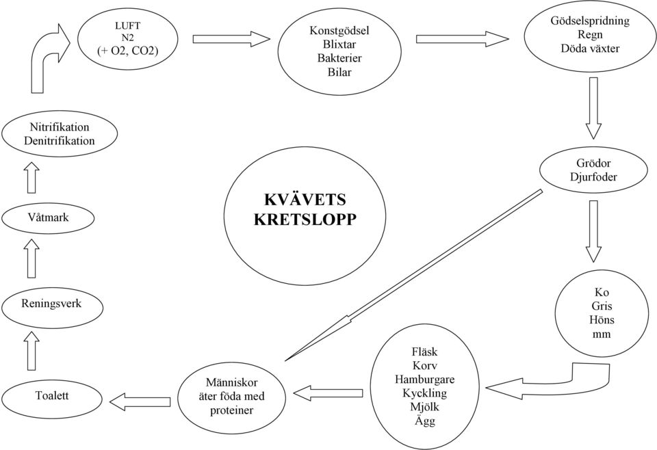 Våtmark KVÄVET KRETLOPP Grödor Djurfoder Reningsverk Toalett