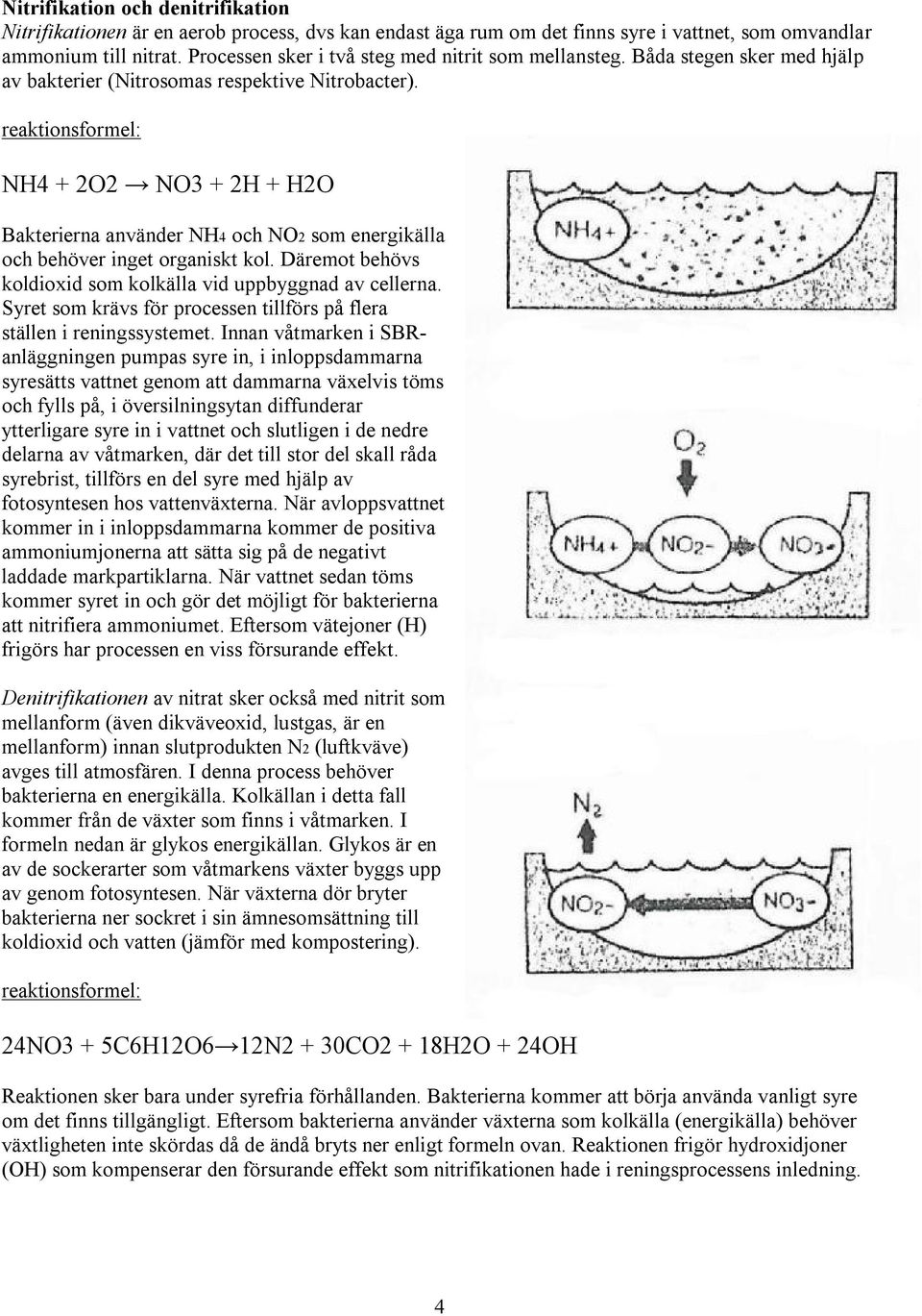 reaktionsformel: NH4 + 2O2 NO3 + 2H + H2O Bakterierna använder NH4 och NO2 som energikälla och behöver inget organiskt kol. Däremot behövs koldioxid som kolkälla vid uppbyggnad av cellerna.