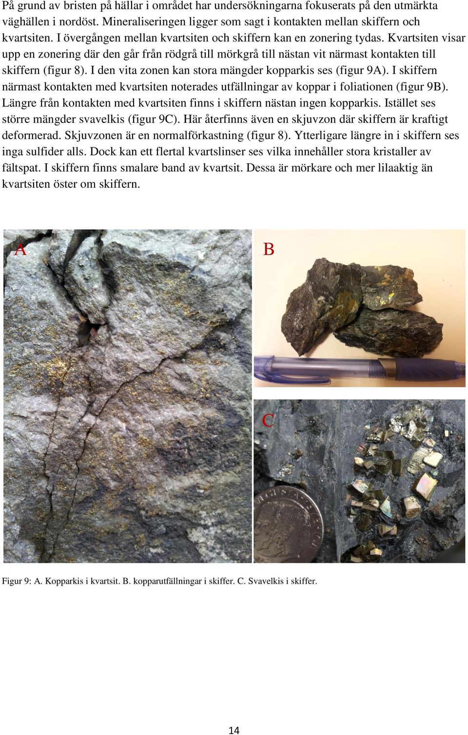 I den vita zonen kan stora mängder kopparkis ses (figur 9A). I skiffern närmast kontakten med kvartsiten noterades utfällningar av koppar i foliationen (figur 9B).