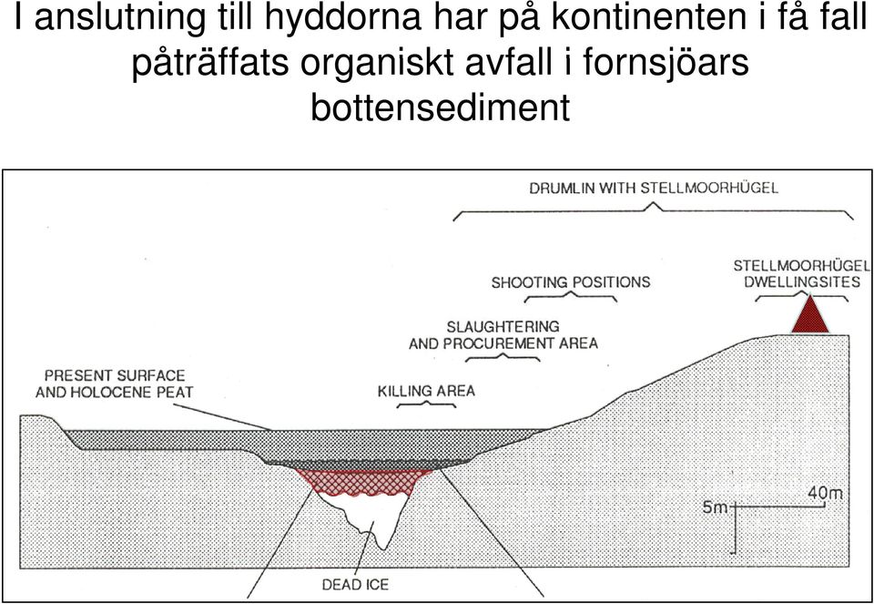 fall påträffats organiskt