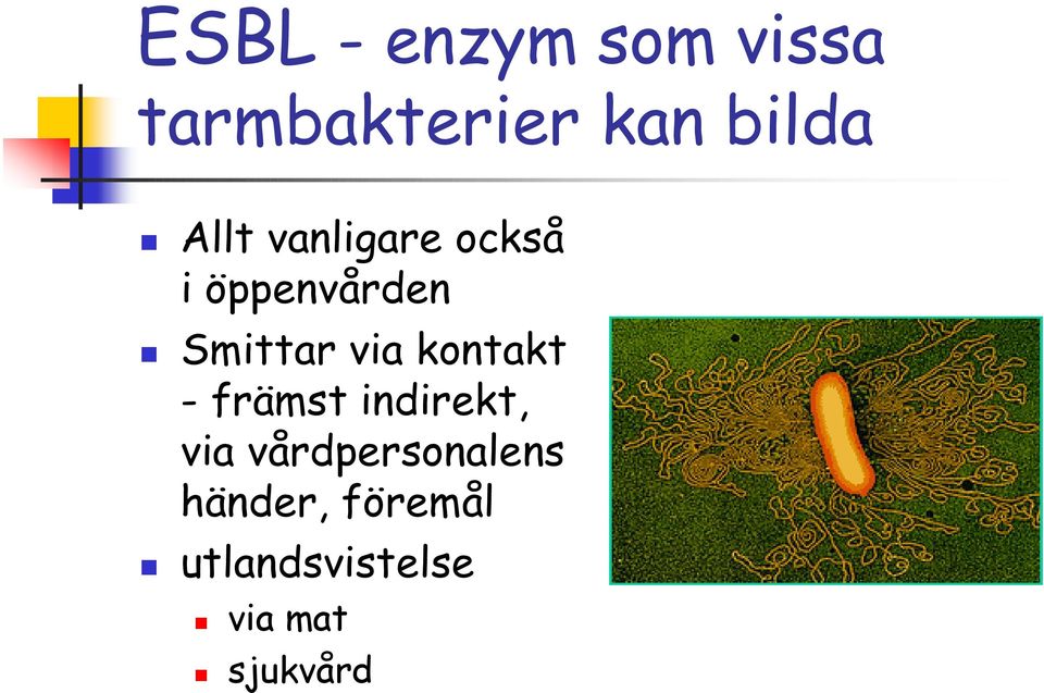 kontakt - främst indirekt, via vårdpersonalens