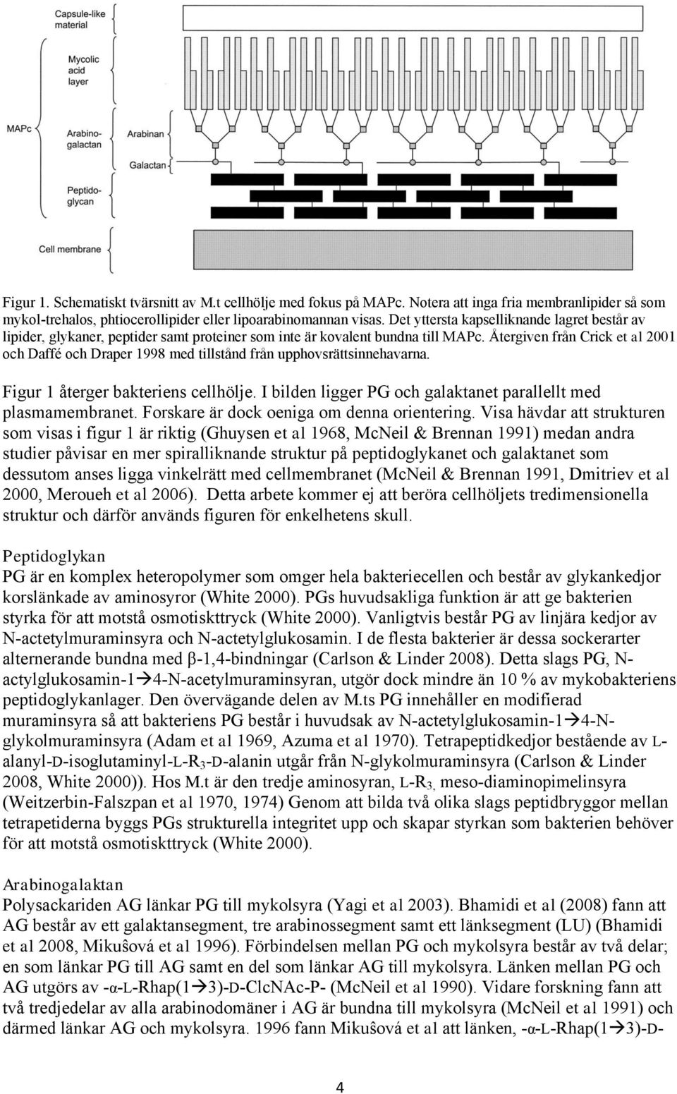 Återgiven från Crick et al 2001 och Daffé och Draper 1998 med tillstånd från upphovsrättsinnehavarna. Figur 1 återger bakteriens cellhölje.