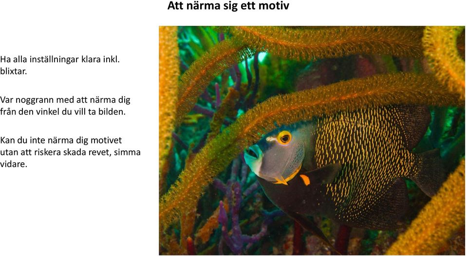 Var noggrann med att närma dig från den vinkel du