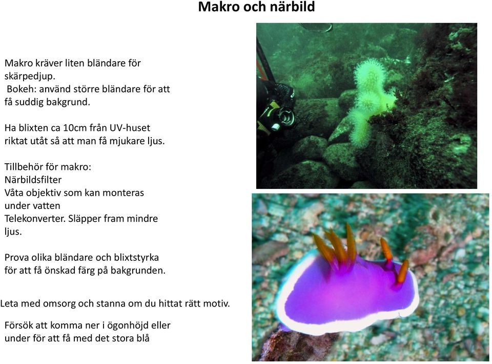 Tillbehör för makro: Närbildsfilter Våta objektiv som kan monteras under vatten Telekonverter. Släpper fram mindre ljus.