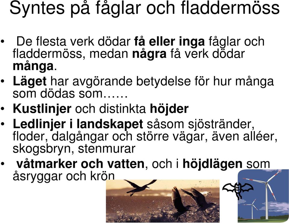 Läget har avgörande betydelse för hur många som dödas som Kustlinjer och distinkta höjder