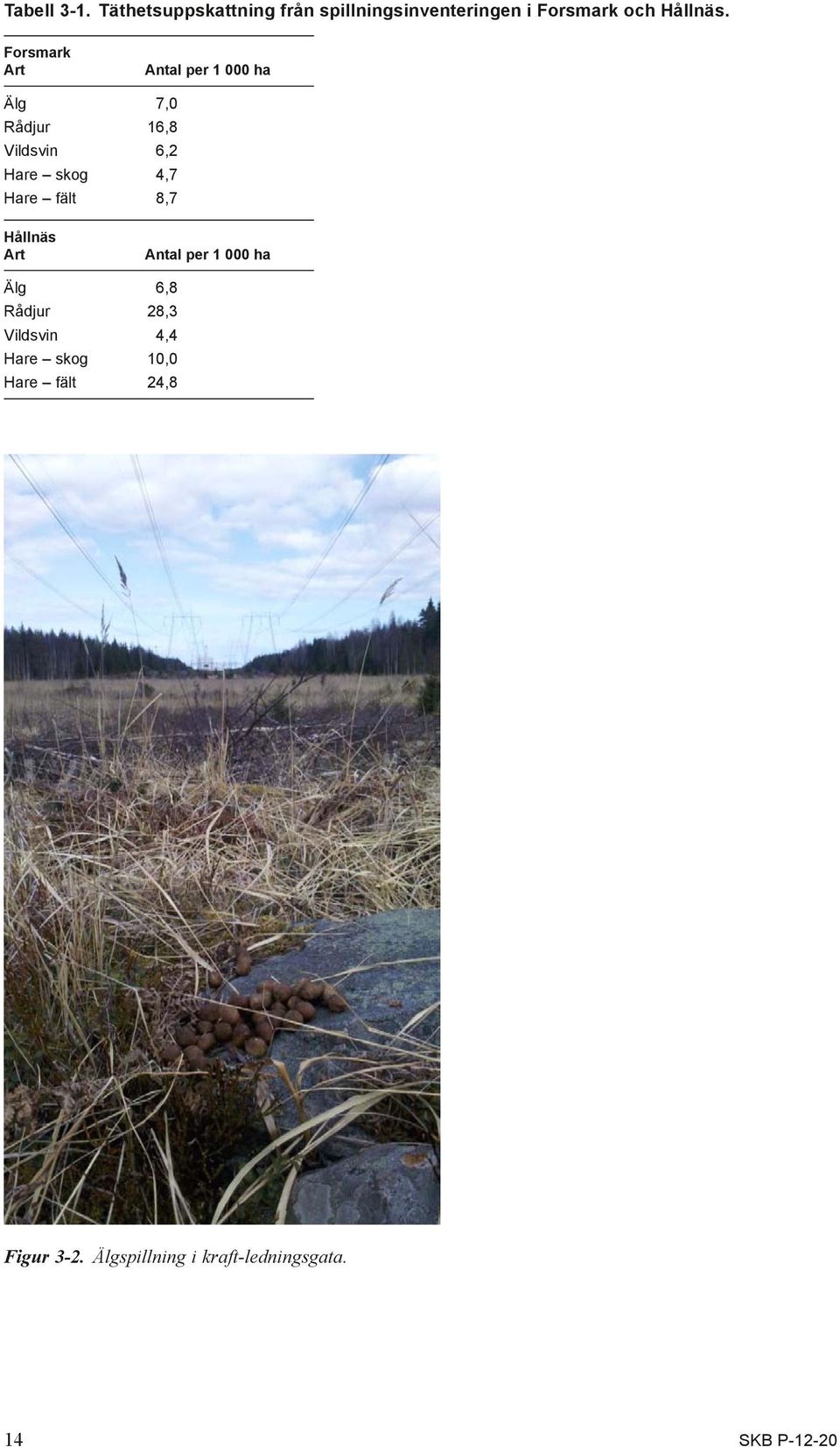 Forsmark Art Antal per 1 ha Älg 7, Rådjur 16,8 Vildsvin 6,2 Hare skog 4,7 Hare