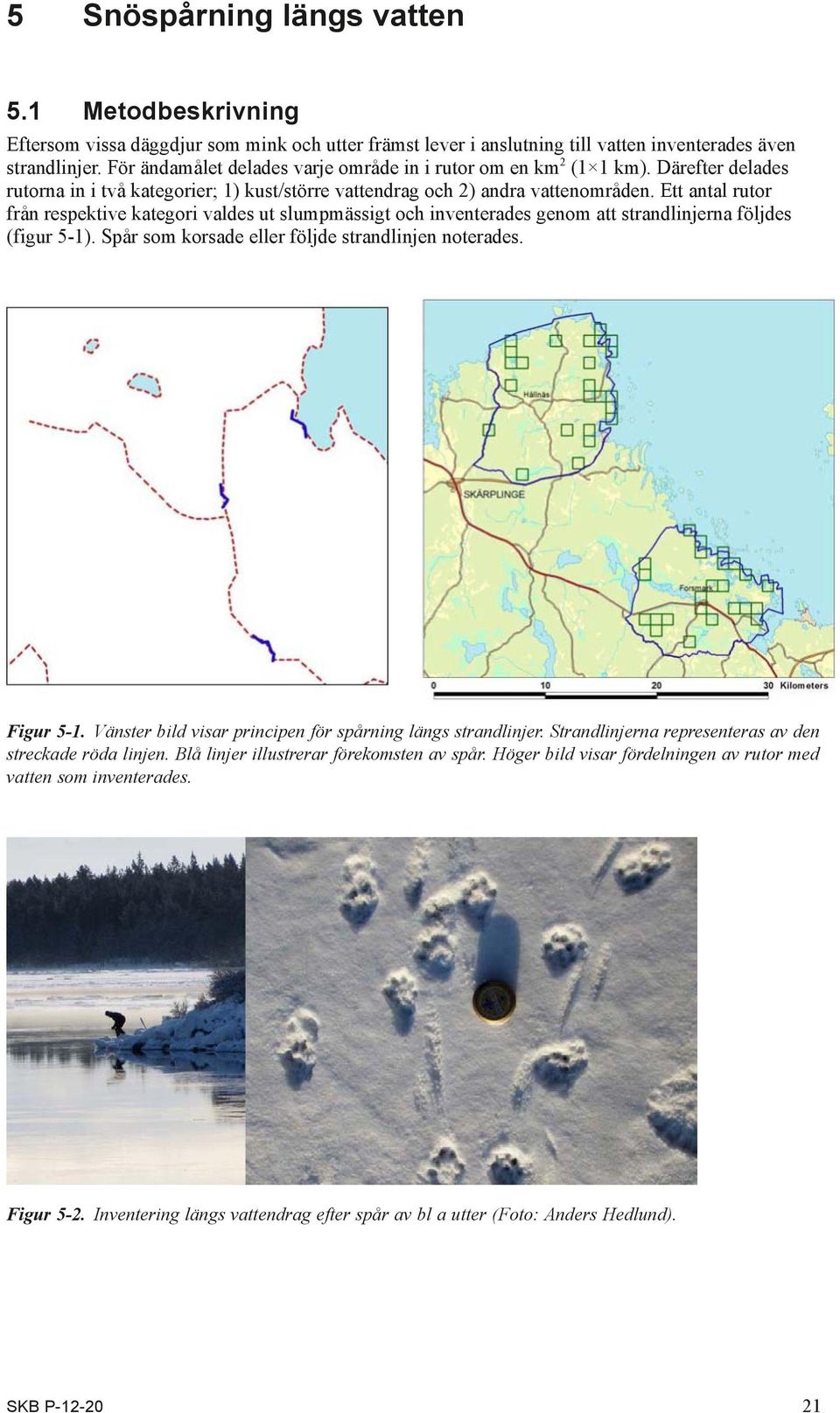 Ett antal rutor från respektive kategori valdes ut slumpmässigt och inventerades genom att strandlinjerna följdes (figur 5-1). Spår som korsade eller följde strandlinjen noterades. Figur 5 1.