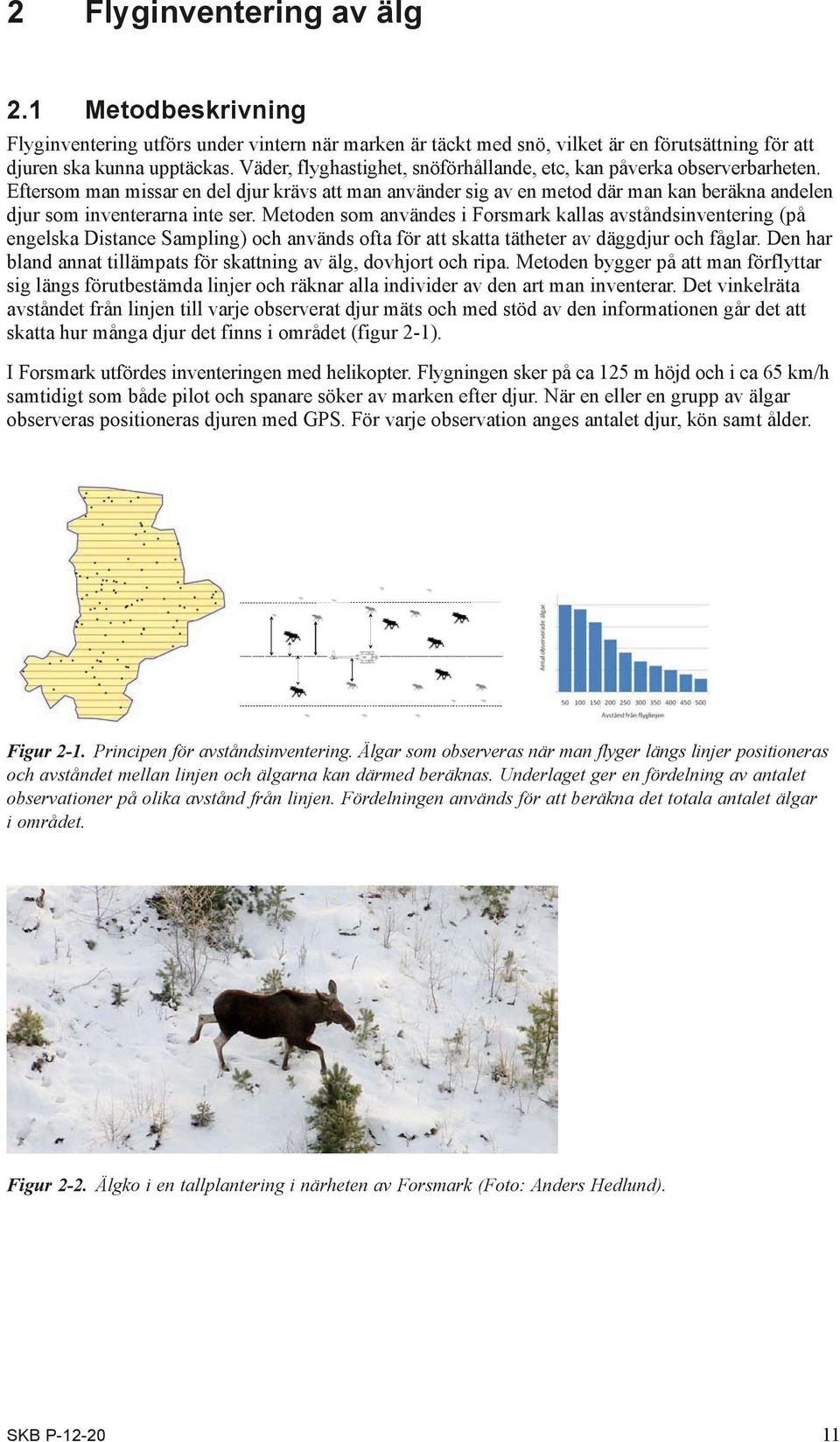 Eftersom man missar en del djur krävs att man använder sig av en metod där man kan beräkna andelen djur som inventerarna inte ser.