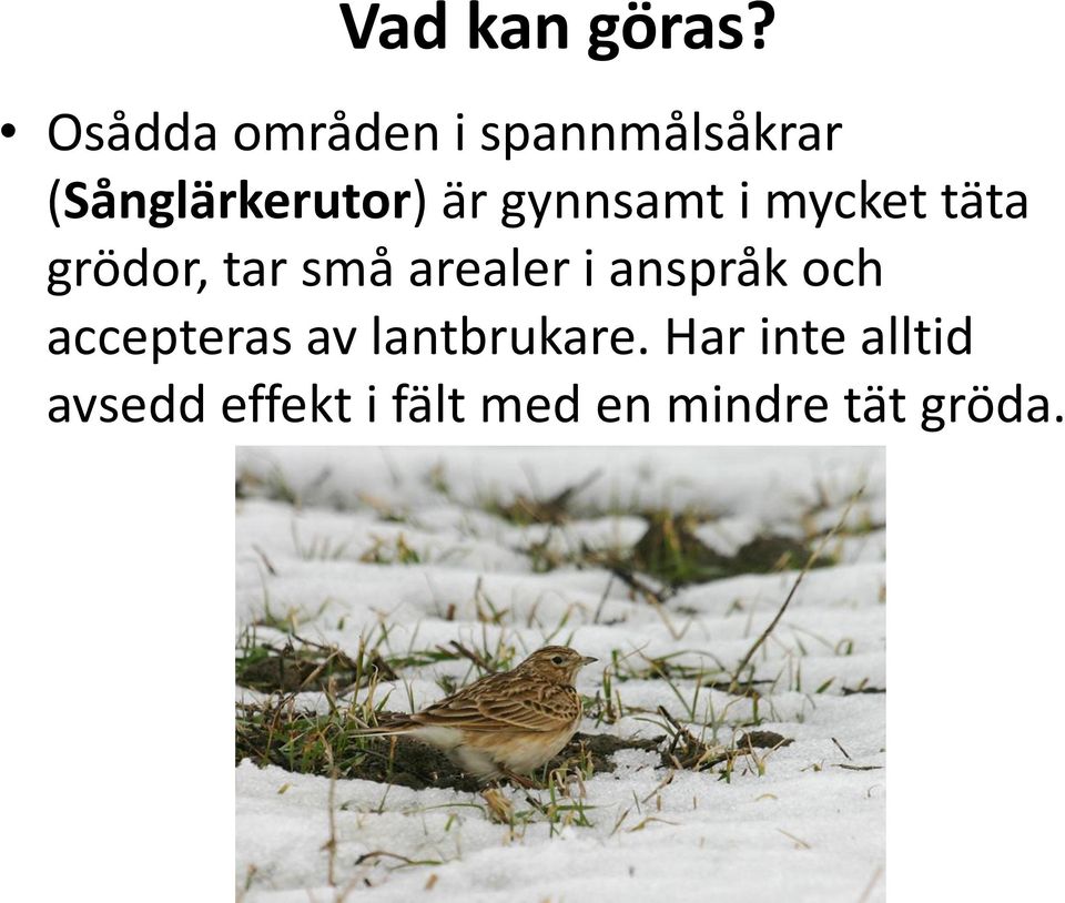 gynnsamt i mycket täta grödor, tar små arealer i