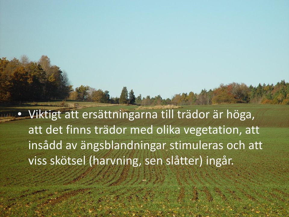 vegetation, att insådd av ängsblandningar