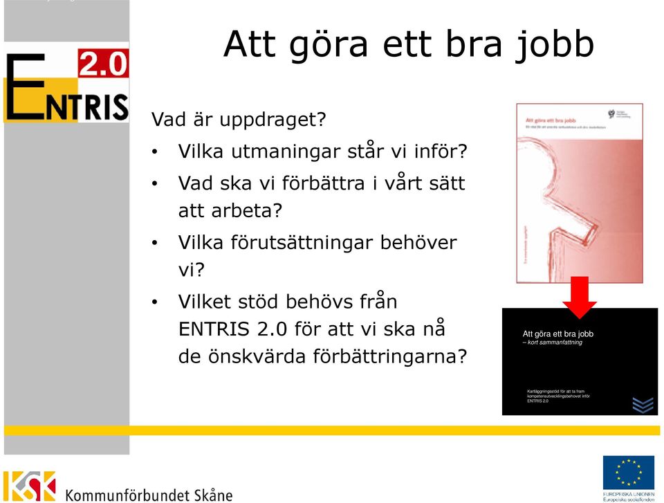 Vilka förutsättningar behöver vi? Vilket stöd behövs från ENTRIS 2.