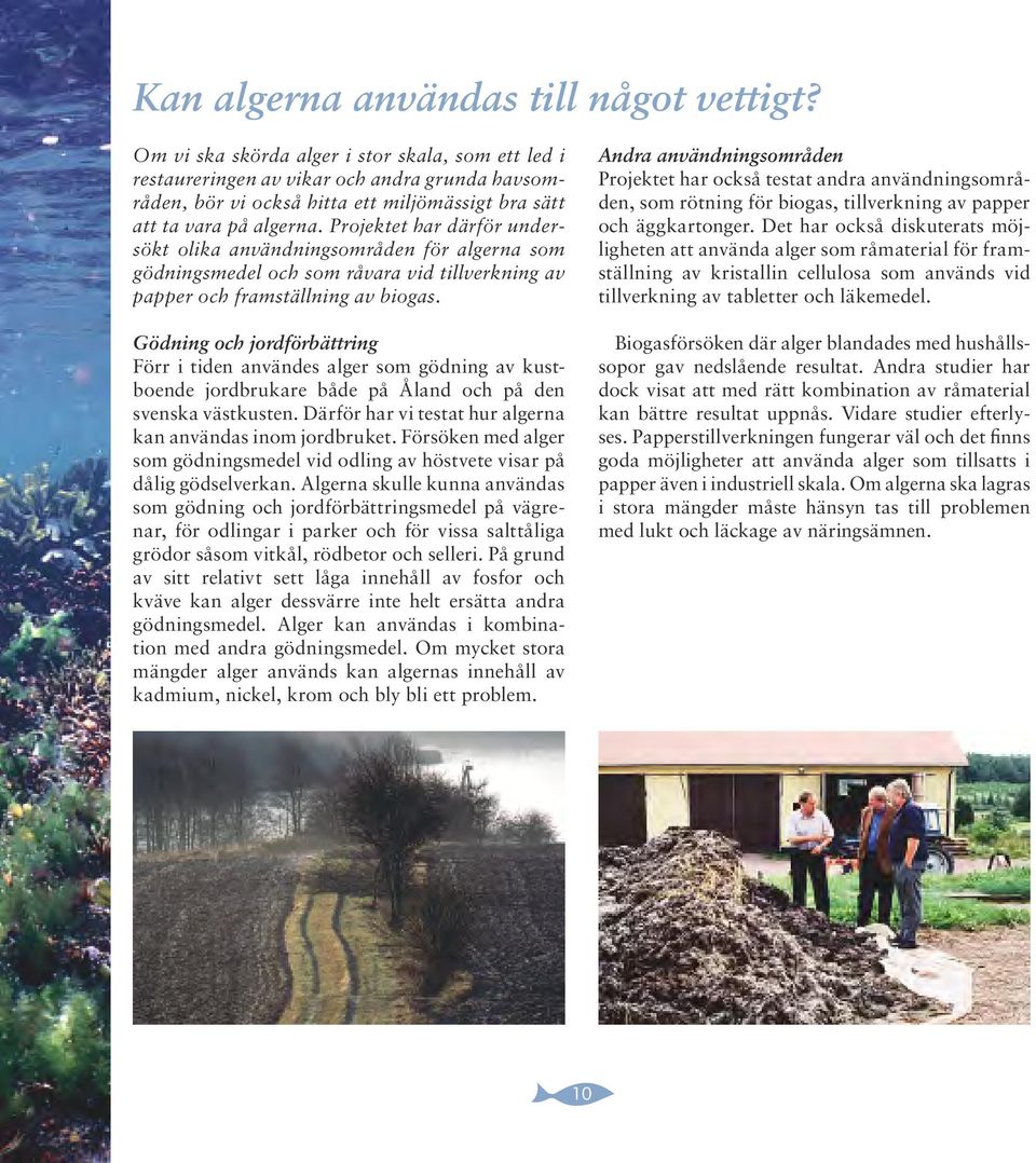 Projektet har därför undersökt olika användningsområden för algerna som gödningsmedel och som råvara vid tillverkning av papper och framställning av biogas.