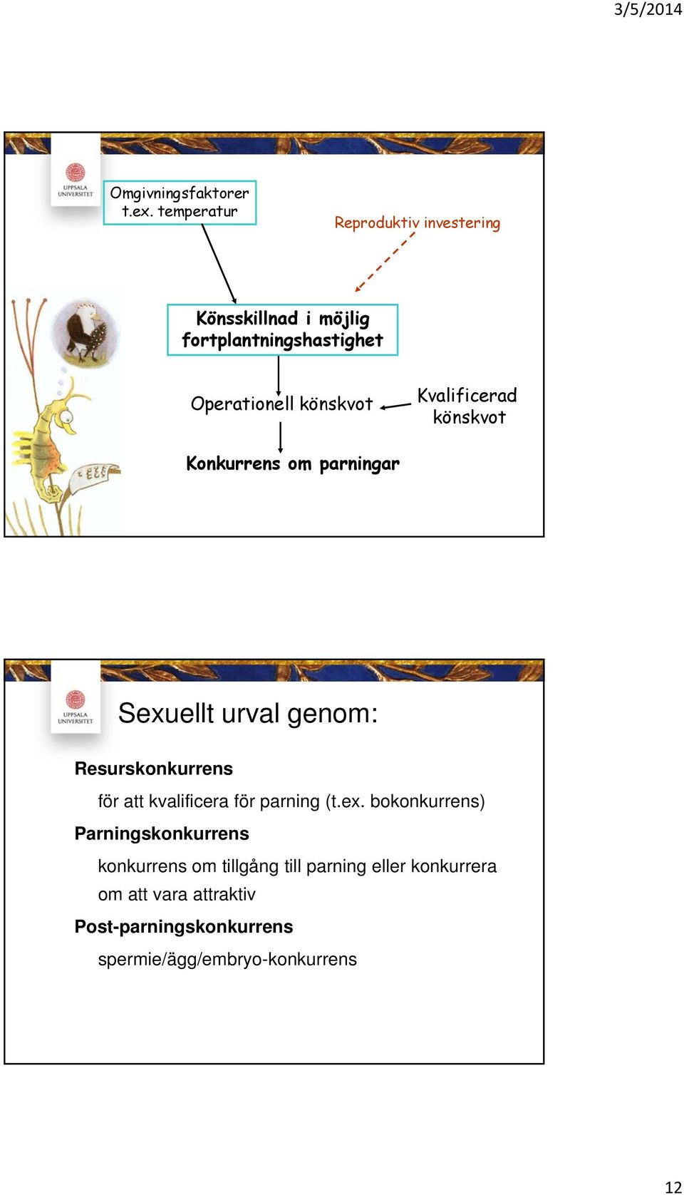 Kvalificerad könskvot Konkurrens om parningar Sexuellt urval genom: Resurskonkurrens för att