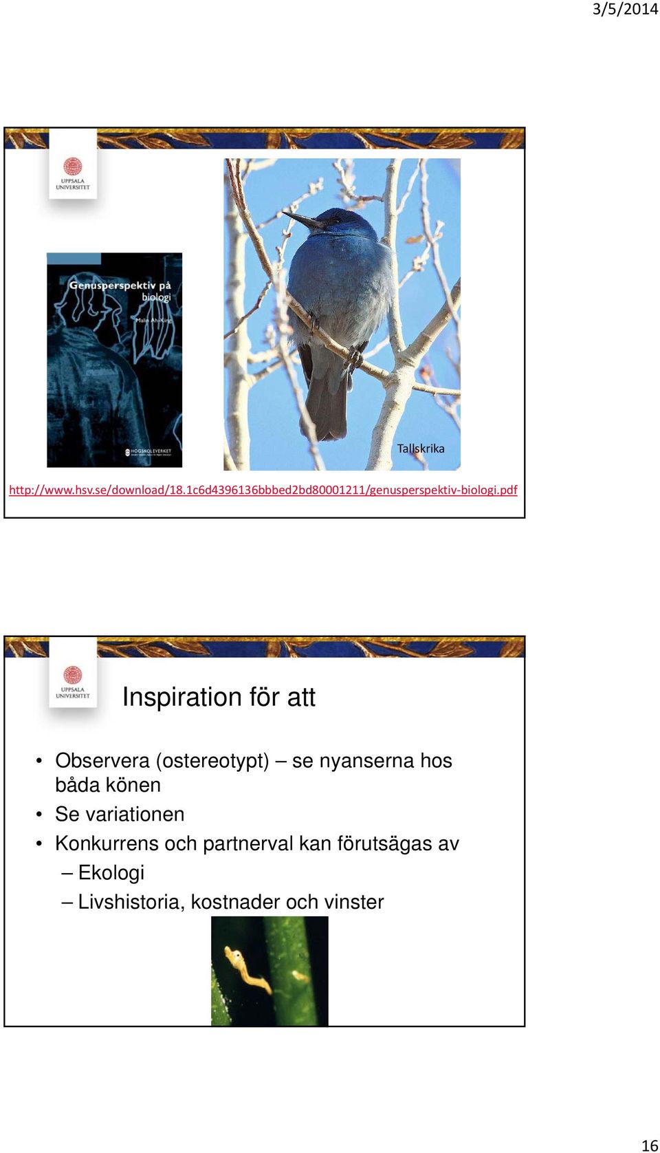 pdf Inspiration för att Observera (ostereotypt) se nyanserna hos