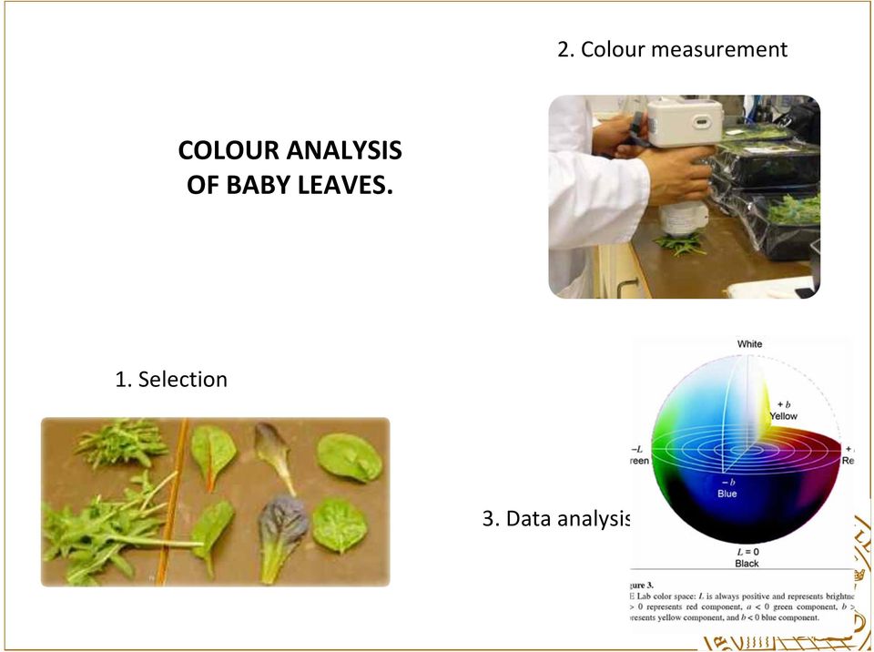 ANALYSIS OF BABY