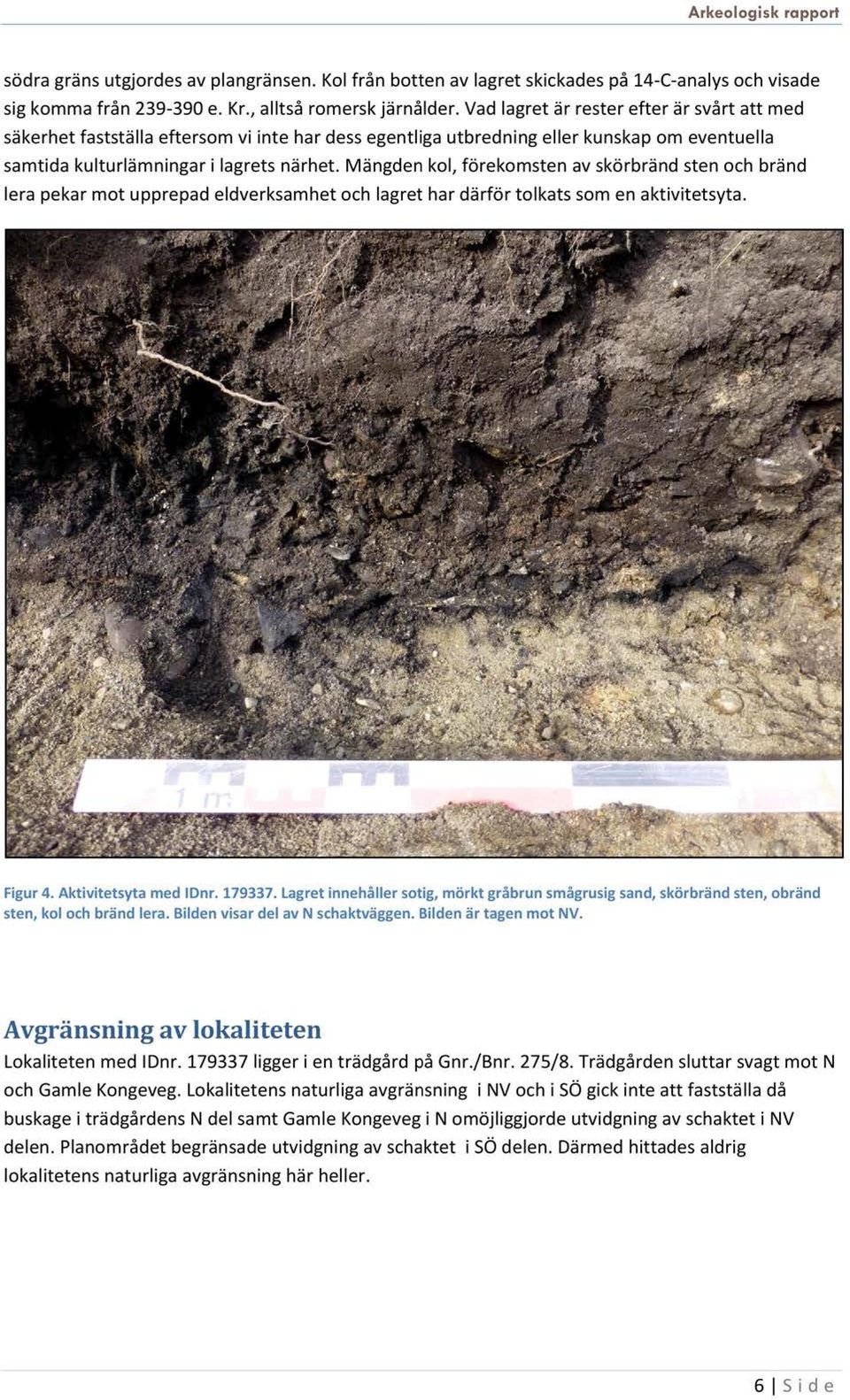 mängdenkol, förekomstenav skörbrändstenoch bränd lera pekarmot upprepadeldverksamhetoch lagrethar därför tolkatssomen aktivitetsyta. Figur4. Aktivitetsyta med IDnr. 179337.