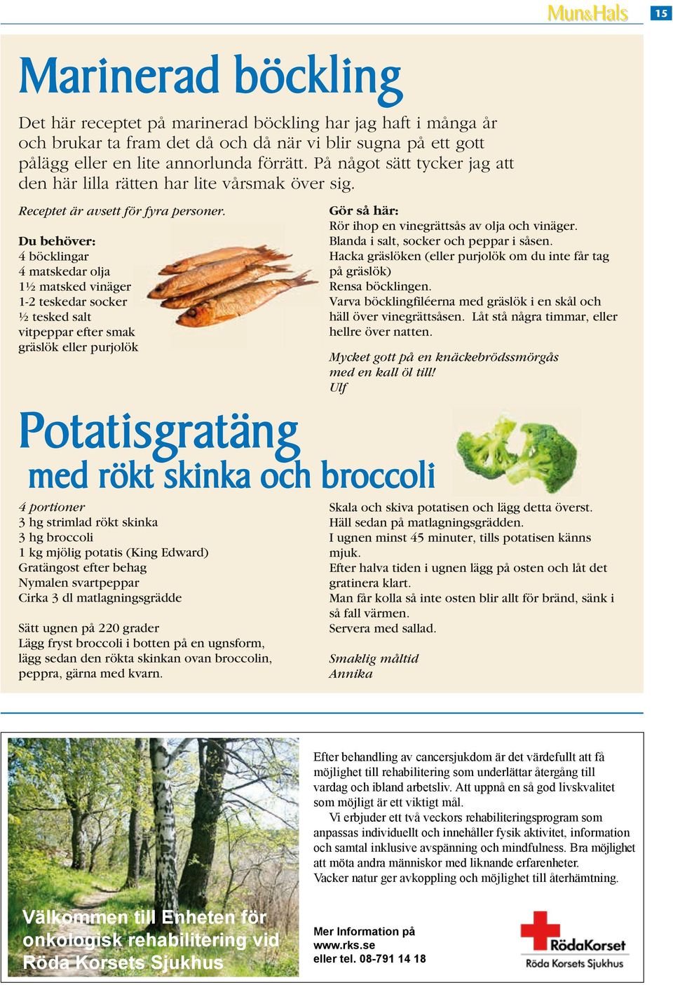 Du behöver: 4 böcklingar 4 matskedar olja 1½ matsked vinäger 1-2 teskedar socker ½ tesked salt vitpeppar efter smak gräslök eller purjolök Potatisgratäng med rökt skinka och broccoli 4 portioner 3 hg