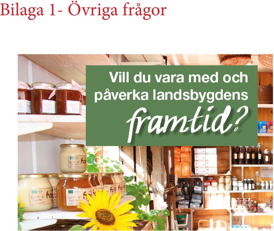 frågor