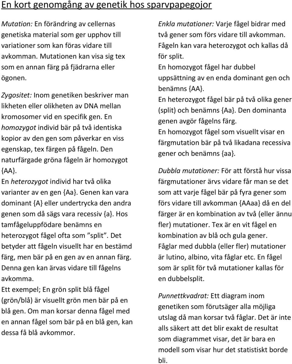 En homozygot individ bär på två identiska kopior av den gen som påverkar en viss egenskap, tex färgen på fågeln. Den naturfärgade gröna fågeln är homozygot {AA}.