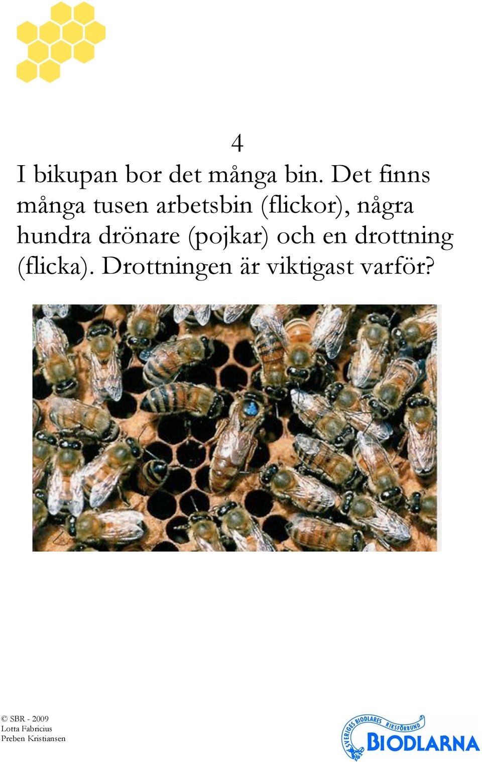 (flickor), några hundra drönare (pojkar)