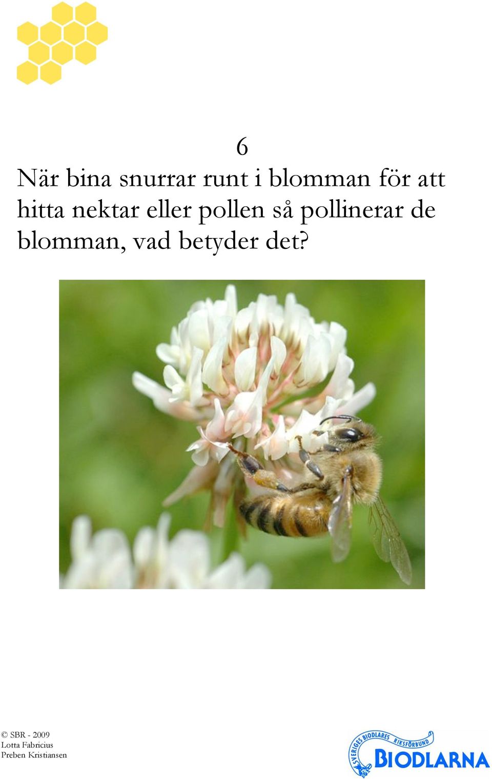 nektar eller pollen så