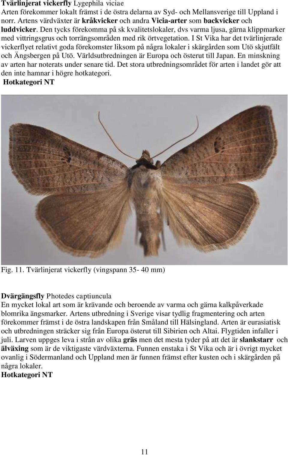 Den tycks förekomma på sk kvalitetslokaler, dvs varma ljusa, gärna klippmarker med vittringsgrus och torrängsområden med rik örtvegetation.