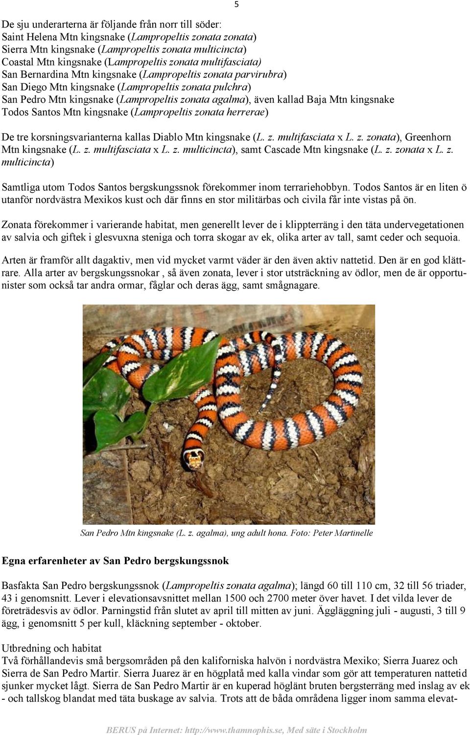 agalma), även kallad Baja Mtn kingsnake Todos Santos Mtn kingsnake (Lampropeltis zonata herrerae) De tre korsningsvarianterna kallas Diablo Mtn kingsnake (L. z. multifasciata x L. z. zonata), Greenhorn Mtn kingsnake (L.