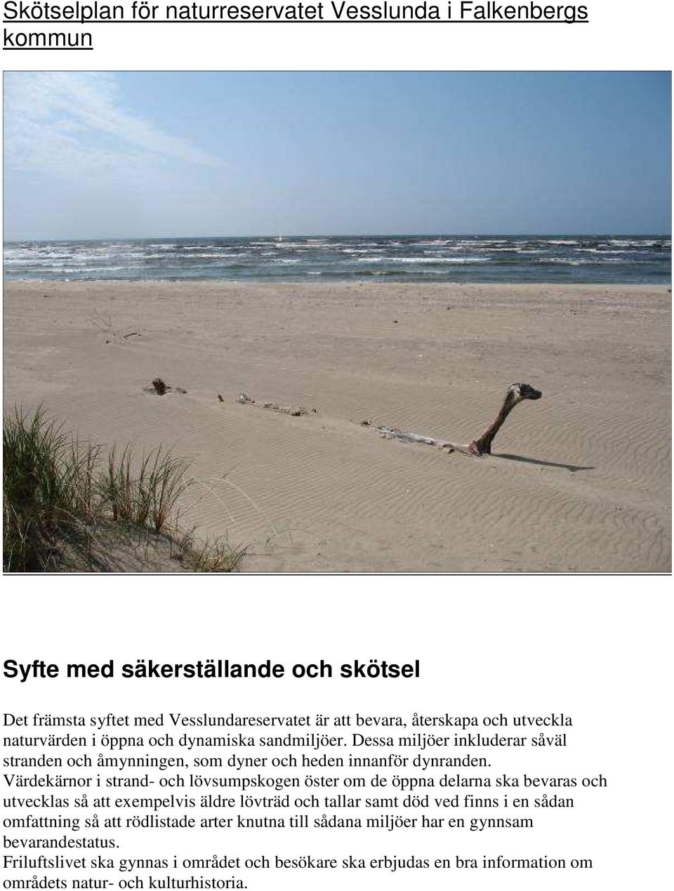 Värdekärnor i strand- och lövsumpskogen öster om de öppna delarna ska bevaras och utvecklas så att exempelvis äldre lövträd och tallar samt död ved finns i en sådan omfattning