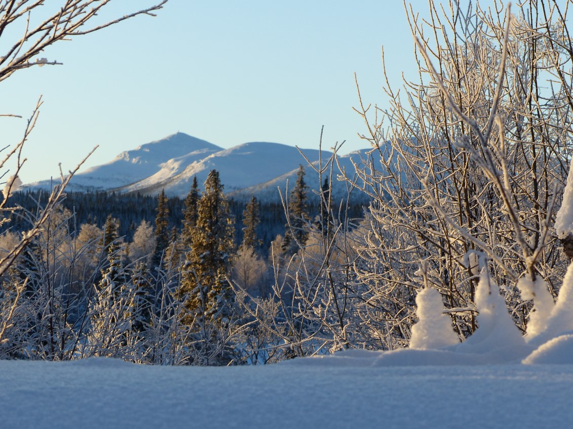 FJÄLLNYTT NOVEMBER 2016 - JANUARI 2017 En ny vintersäsong står för dörren.