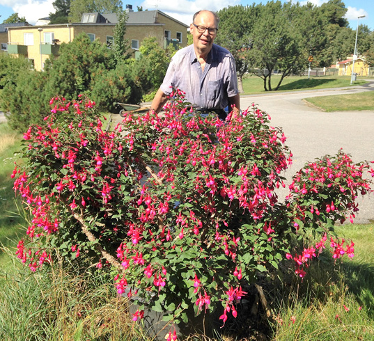 De flesta löven och blommor klarar varken av mörkret eller kylan utan har lämnat oss för att komma tillbaka med ny kraft samtidigt som ljuset återkommer i vår.