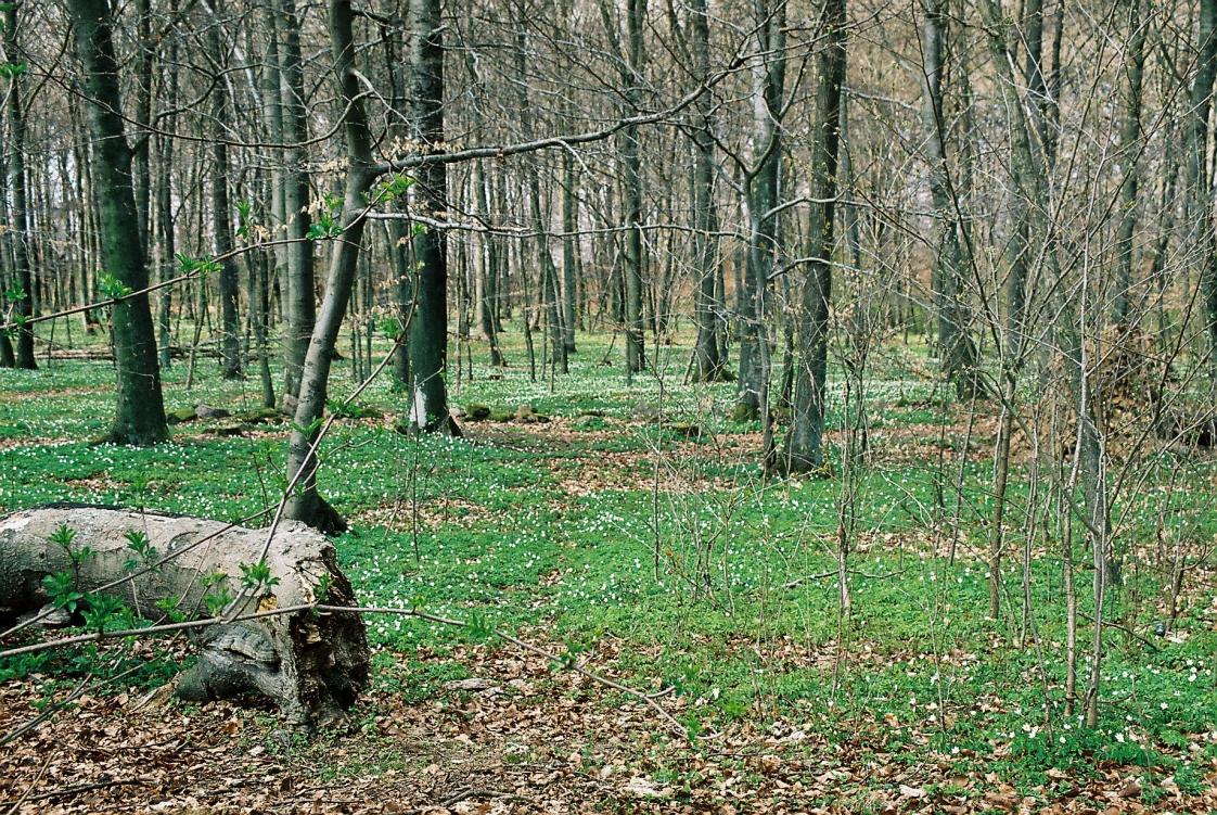 akutmottagningarna (PM 5) Landstinget