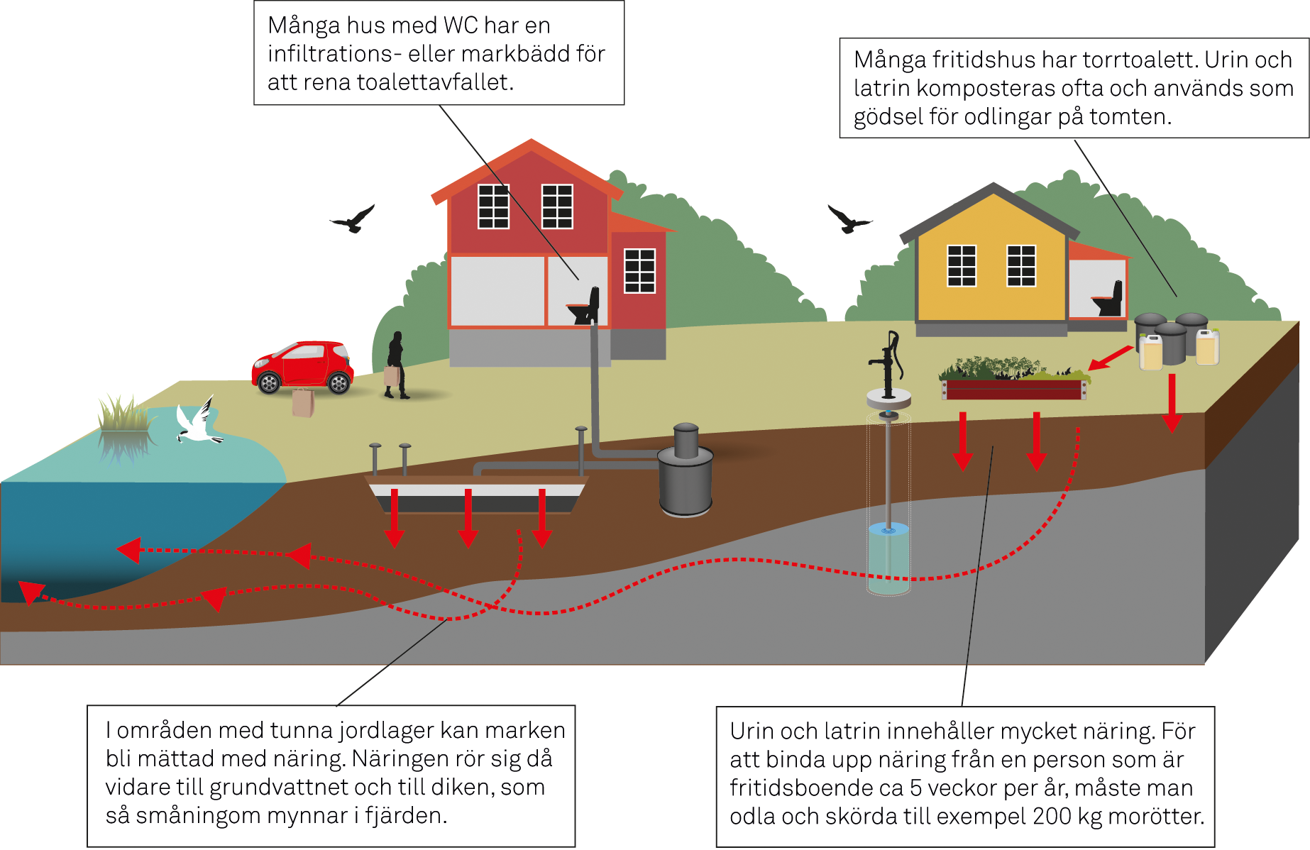 Hjälp din vik - Förbättra ditt avlopp I Sverige finns ca 1 miljon fastigheter som inte är anslutna till kommunala avloppssystem. Istället har de små enskilda avlopp eller torrtoalett.