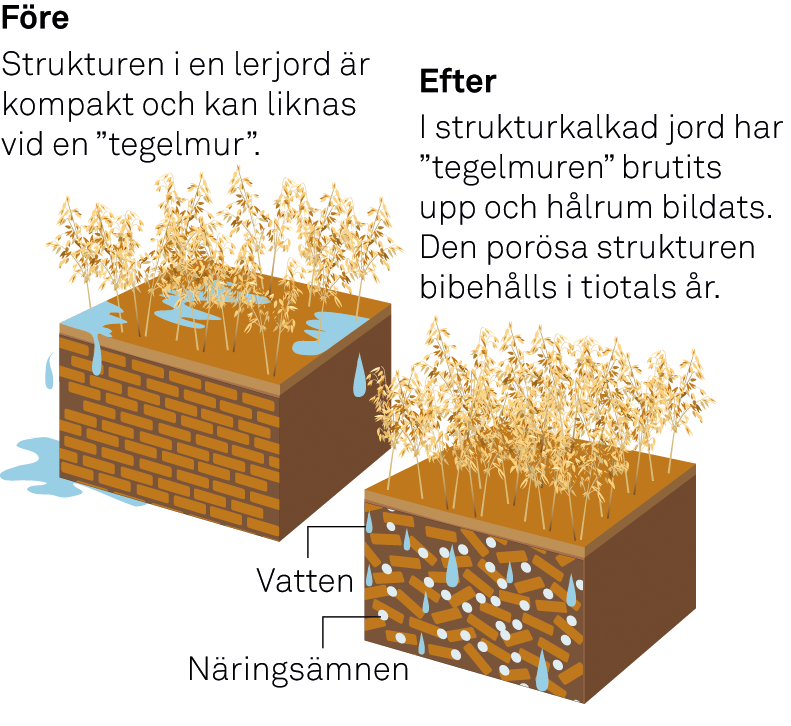 De effektiva jordbruksmetoderna i kombination med kraftig utdikning bidrar till att grumligt och näringsrikt vatten når Östersjön, där känsliga miljöer övergöds och skadas.