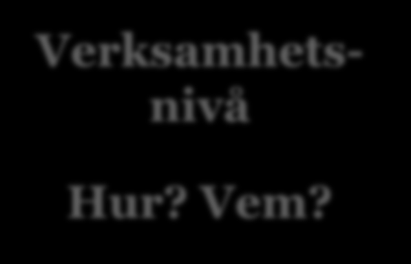 Roller Vilket uppdrag/ansvar har jag som politiker? Politisk nivå Vad?