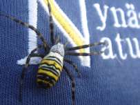 NYNÄSHAMNS