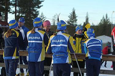 Verksamhet 13-14 år Verksamhetsansvarig Sofie Mattes & Karin Bohlin DALARNA VINNAR AV