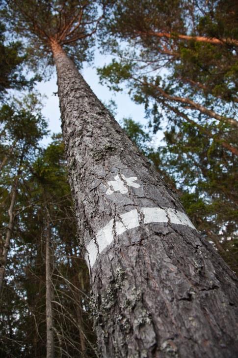 kommunalråd Haninge Erik Skärbäck, professor översiktlig