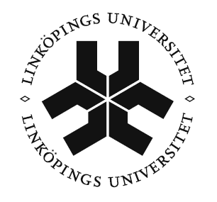 Linköpings universitet Institutionen för kultur och kommunikation (IKK) Spanska, nybörjarkurs, HT 2010, Kurskod: 713G35 María Consuelo Calatayud Bernabeu tel: 013-28 18 62 maria.c.bernabeu@liu.