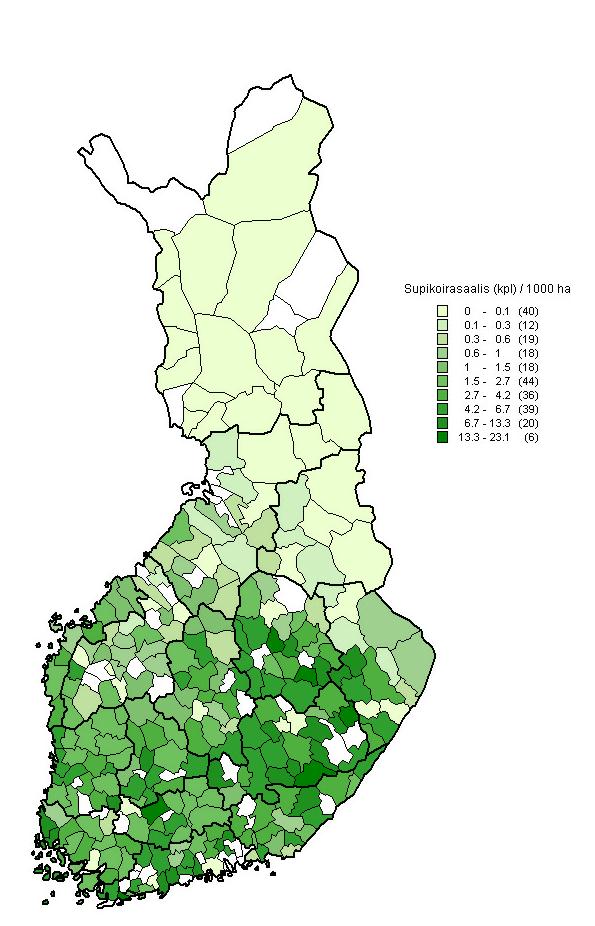 Annual hunting bag Hunting bag of raccoon dog in Finland Bag (individual/ 1000 ha) 3500 3000 2500 2000 1500 1000