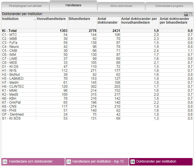 Den sista rapporten i fliken heter Doktorander per institution. Tabellen visar antal huvudhandledare, bihandledare och doktorander redovisat per institution (doktorandens).