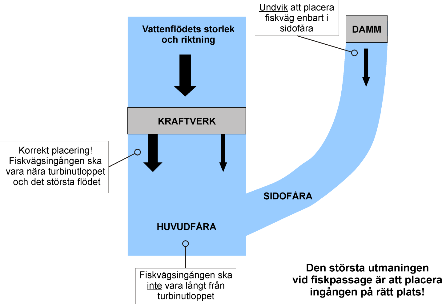 man även beakta på vilken sida man oftast har det högsta flödet och placera fiskvägen på samma sida.