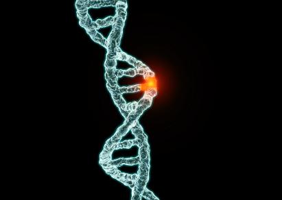 Evolution, del 2: Evolutionsprocesser och förändringar i det