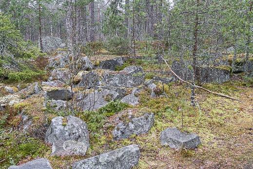 Angränsande kommunal mark De angränsande kommunala markerna som omger detaljplaneområdet består i öster av tallhed med ett stråk av fuktig mark och ett vattenfyllt stenbrott.